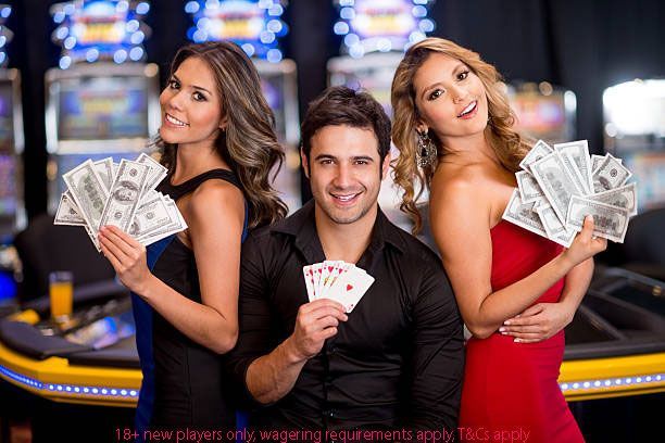 Koi Gate Slot Live Betting